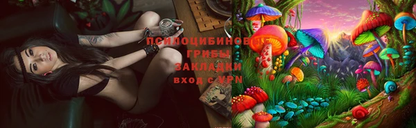 стаф Абдулино