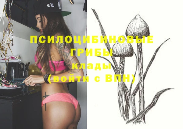 герыч Абаза